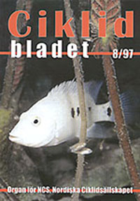 Omslag för Ciklidbladet 1997/08