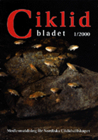 Omslag för Ciklidbladet 2000/01