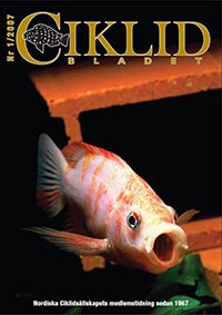 Omslag för Ciklidbladet 2007/01