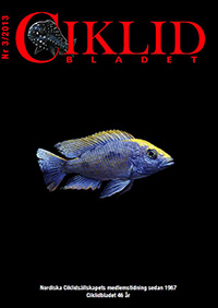 Omslag för Ciklidbladet 201303