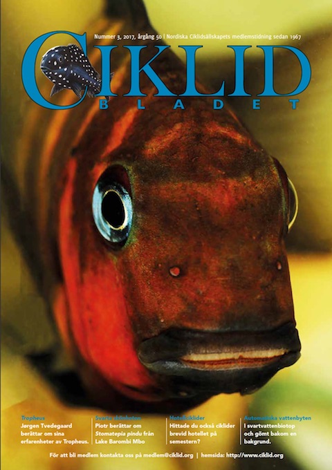 Omslag för Ciklidbladet 201703