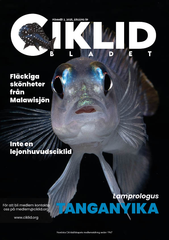 Omslag för Ciklidbladet 2025/02