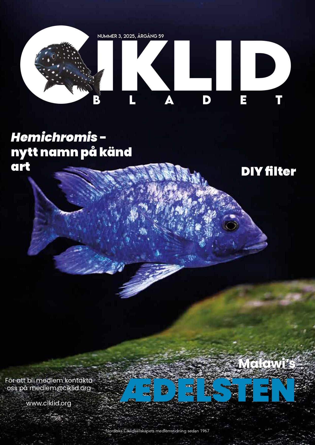 Omslag för Ciklidbladet 2025/03