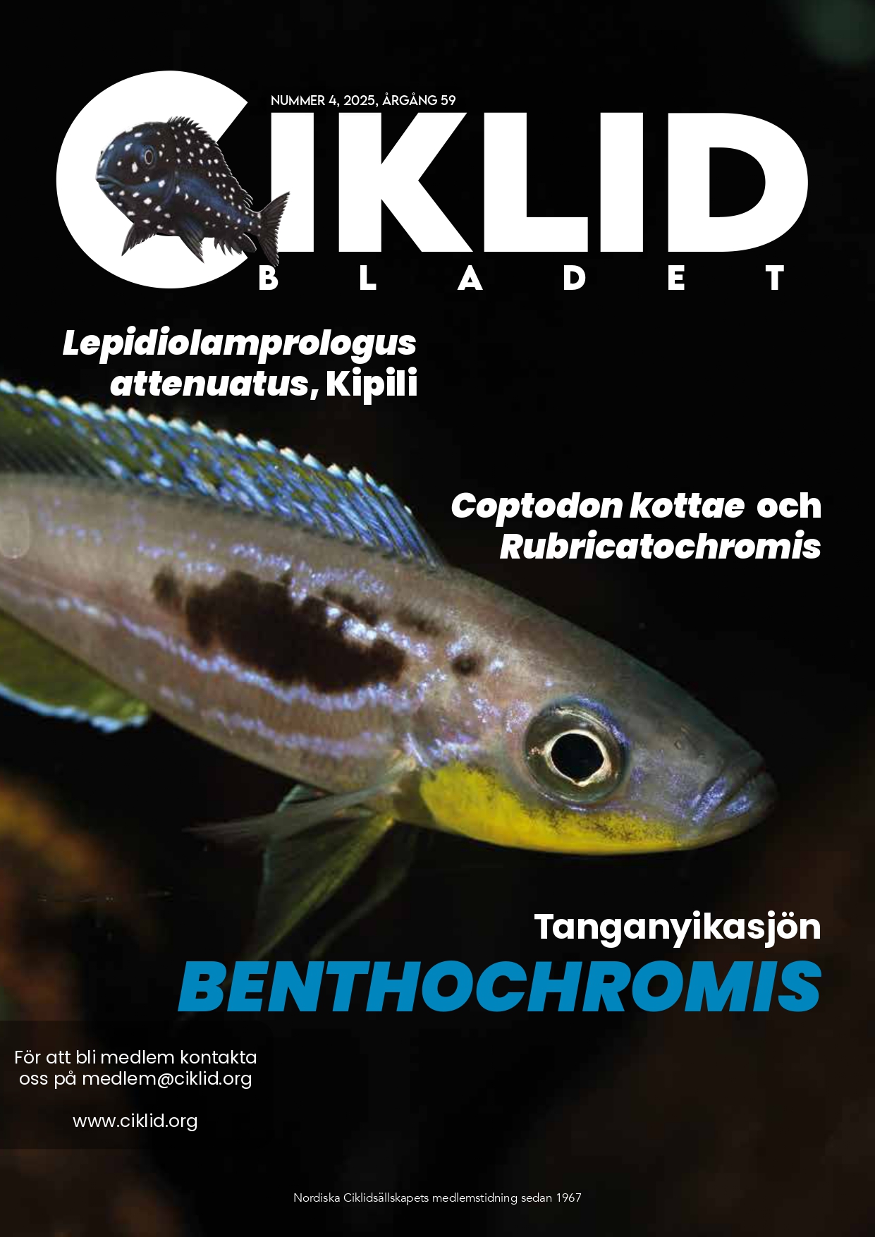 Omslag för Ciklidbladet 2025/04