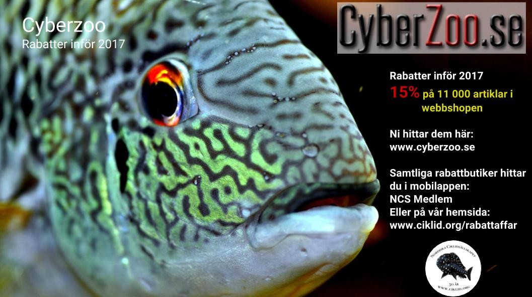 Klicka på bilden för större version

Namn: Cyberzoo.jpg
Visningar: 82
Storlek: 129,2 KB
ID: 755068