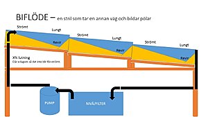 BIFLÖDE
Tänk dig att en flod alltid delar sig och vattnet tar lite olika vägar, skulle man kunna ha Apistogramma blandat med lite snabba fiskar som gillar strömt?
Själva pölarna kan vara grunda eller djupare, växtligheten tät på sina ställen.